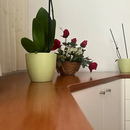 Nest Apartamento *
